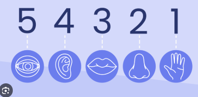 Ilustrasi teknik grounding 5-4-3-2-1 untuk menenangkan pikiran