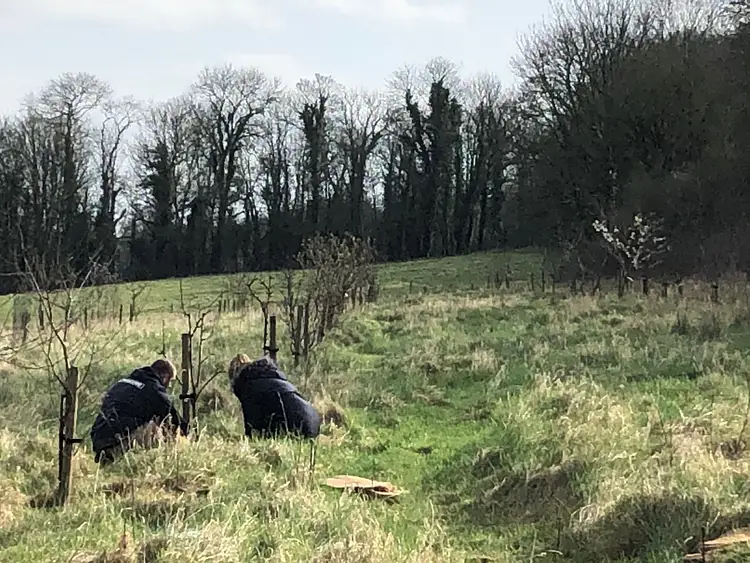 12 Mindful Living Habits 2025 Transform Hidup Anda